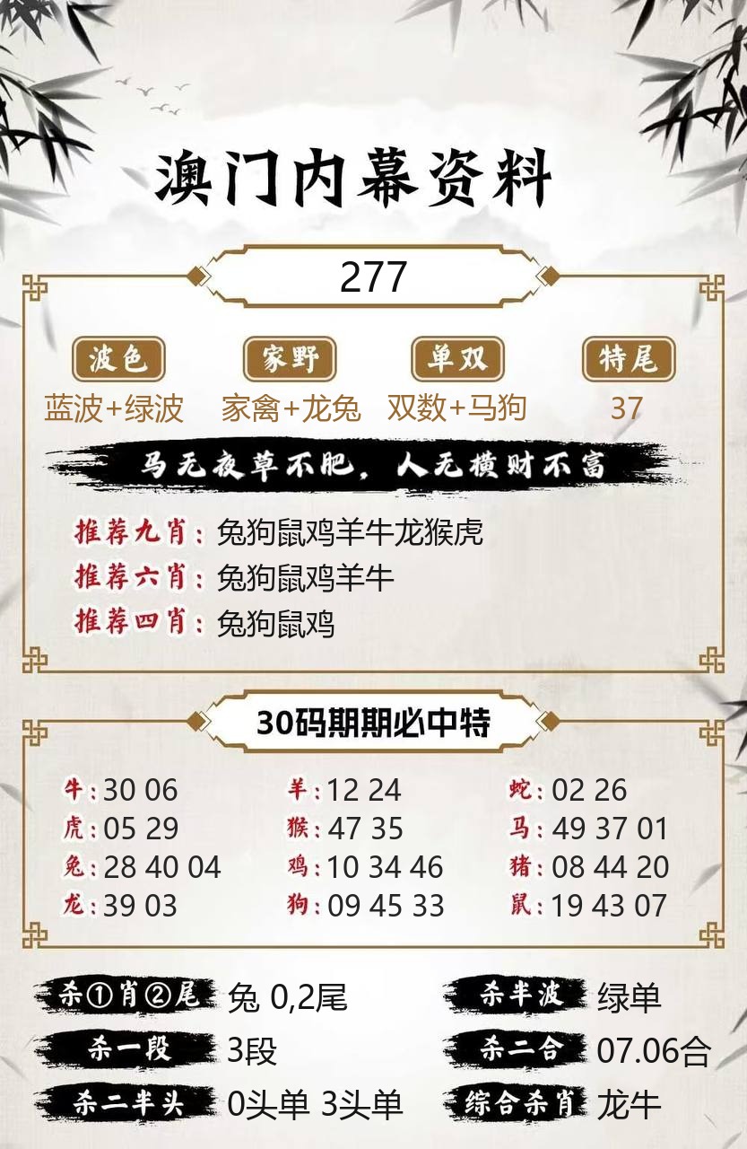 新澳下半场内幕资料模板